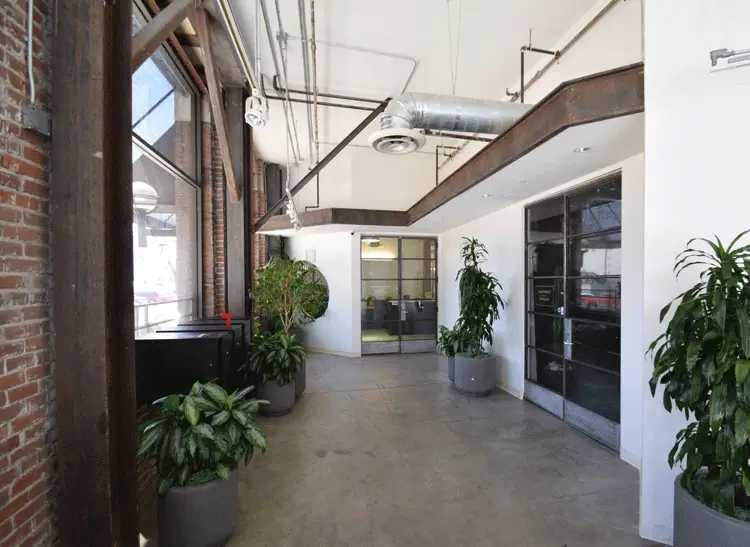 toylofts 5